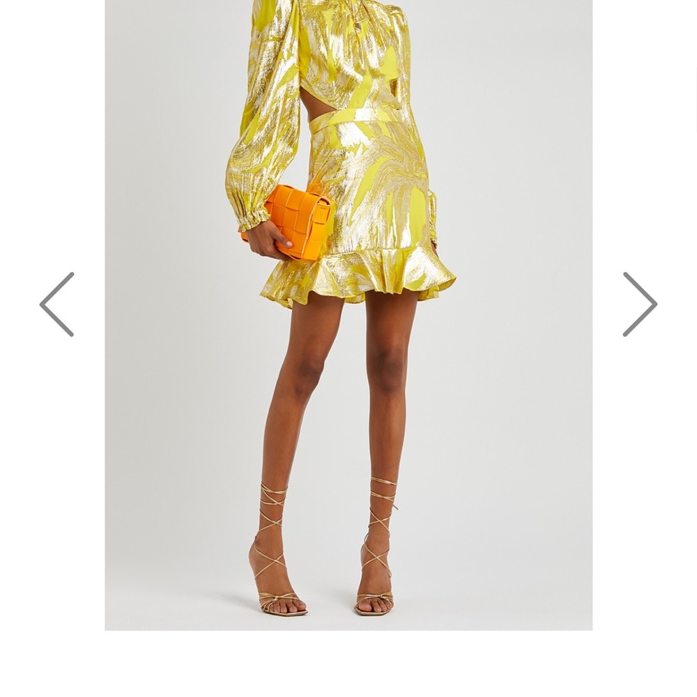 Rebecca Vallance Navarro Long Sleeve Mini Dress